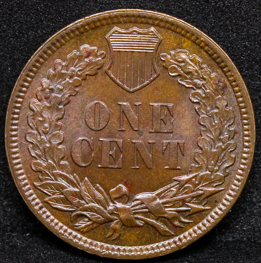 1882 1 CENT USA, INDIAN TYPE .NGC MS 64 BN