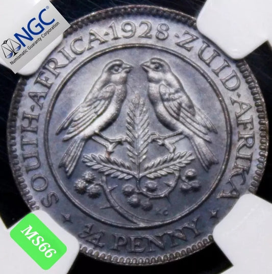 south africa 1928 1/4 penny Farthing George V NGC MS66 KM-12.2